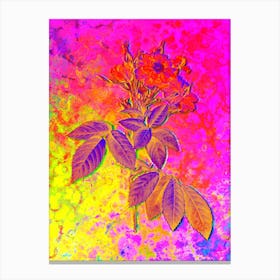 Boursault Rose Botanical in Acid Neon Pink Green and Blue n.0086 Canvas Print