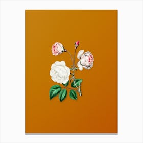 Vintage Ruga Rose Flower Botanical on Sunset Orange n.0915 Canvas Print