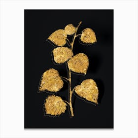 Vintage Quaking Aspen Botanical in Gold on Black n.0431 Canvas Print