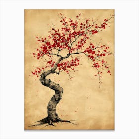 Cherry Blossom Tree 2 Canvas Print