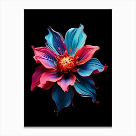 Dahlia Flower 8 Canvas Print