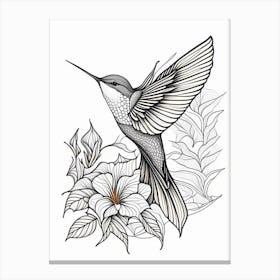 Fiery Throated Hummingbird William Morris Line Drawing Canvas Print