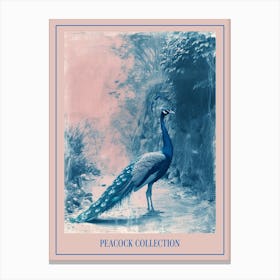 Peacock In The Wild Blue Cyanotype 3 Poster Canvas Print