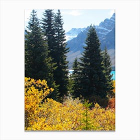 Fall Foliage In Banff National Park Canvas Print