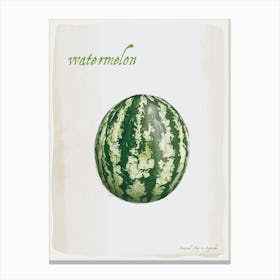 Watermelon Vintage illustration Print Canvas Print