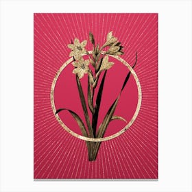 Gold Gladiolus Saccatus Glitter Ring Botanical Art on Viva Magenta n.0018 Canvas Print