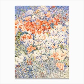 Poppies In The Meadow Canvas Print