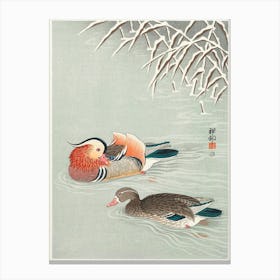 Mandarin Ducks (1925 1936), Ohara Koson Canvas Print