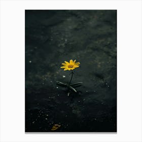 Single Yellow Flower In Water 3 Canvas Print