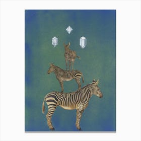 Dazzle Of Zebras Canvas Print