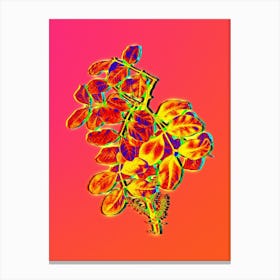Neon Carob Tree Botanical in Hot Pink and Electric Blue n.0606 Canvas Print