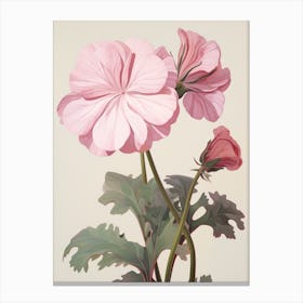 Floral Illustration Geranium 1 Canvas Print