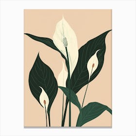 Peace Lily Plant Minimalist Illustration 8 Canvas Print