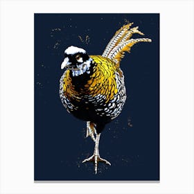 The Reeves Pheasant On Midnight Blue Canvas Print