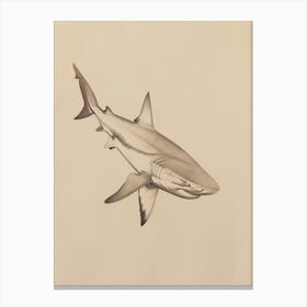 Cookiecutter Shark Vintage Illustration 6 Canvas Print