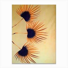 Orange fan palm Canvas Print