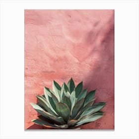 Agave 3 Canvas Print