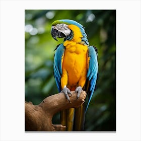 Tropical Treasure: Macaw Jungle Bird Print Canvas Print