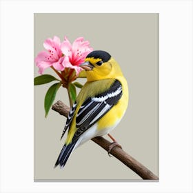 Goldfinch 5 Canvas Print