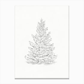 Pine Tree Sketch Canvas Print