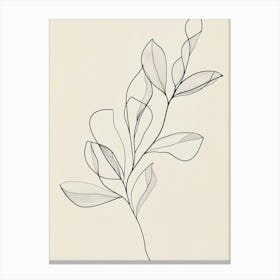 Leaf On A Branch 3 Canvas Print