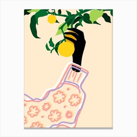 Citrus Touch Canvas Print
