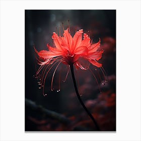 Red Flower Canvas Print