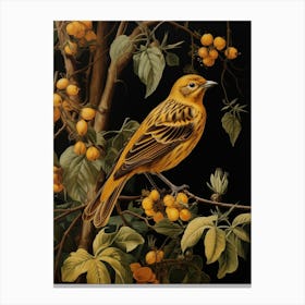 Dark And Moody Botanical Yellowhammer 2 Canvas Print