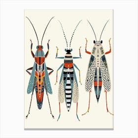 Colourful Insect Illustration Cricket 11 Canvas Print