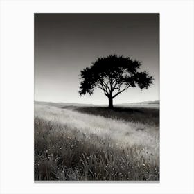 Lone Tree In The Field 2 Canvas Print