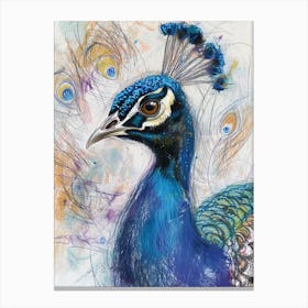 Colourful Peacock Portrait Sketch  1 Canvas Print
