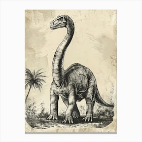 Brontosaurus Dinosaur Black Ink Illustration 1 Canvas Print