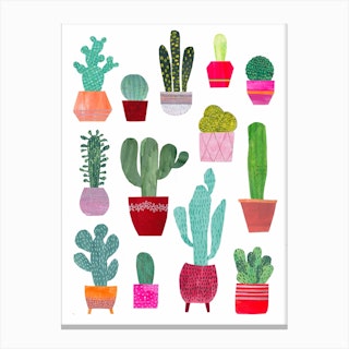 Cacti Canvas Print
