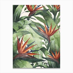 Tropical Flora I Canvas Print