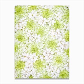 White Green Flowers Canvas Print