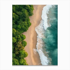 Aerial View Of A Tropical Beach 10 Canvas Print