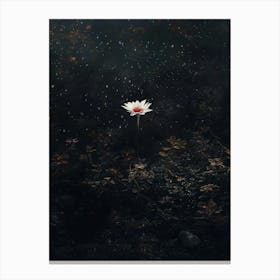 Water Lily 3 Canvas Print