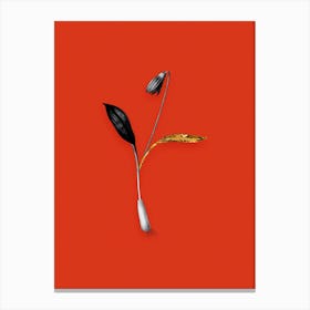 Vintage Erythronium Black and White Gold Leaf Floral Art on Tomato Red Canvas Print
