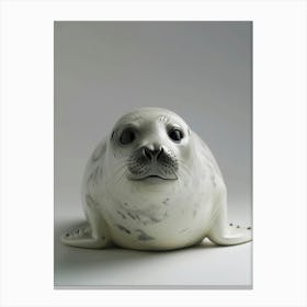 Seal portrait Canvas Print