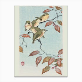 Birds On A Branch (1900 1936), Ohara Koson Canvas Print