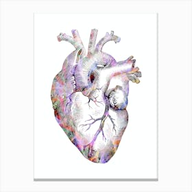 Heart Anatomy Colorful Vintage Black And White 1 Canvas Print