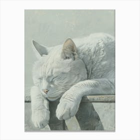 White Cat Sleeping Canvas Print