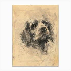 Clumber Spaniel Dog Charcoal Line 4 Canvas Print