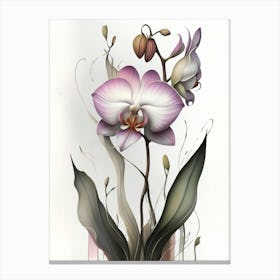 Orchid Canvas Print