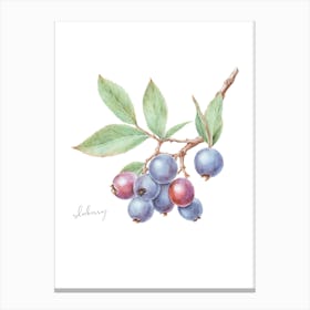 English Hedgerow Sloeberry - Botanical Wall Print Set | Floral Collection Canvas Print