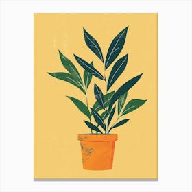 Zz Plant Minimalist Illustration 8 Canvas Print