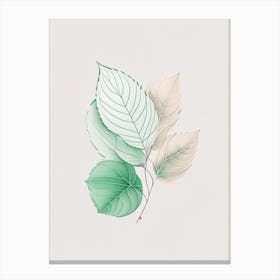 Mint Leaf Contemporary 8 Canvas Print