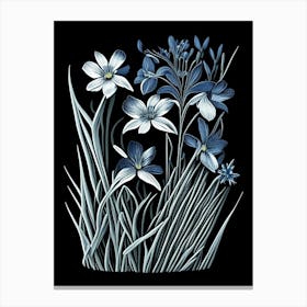 Blue Eyed Grass Wildflower Linocut Canvas Print