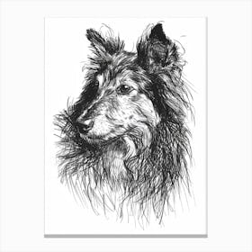 Shetland Sheepdog Dog Line Sketch 2 Canvas Print