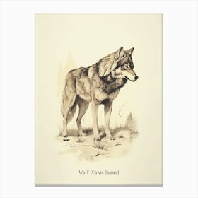 Vintage Wolf 2 Poster Canvas Print